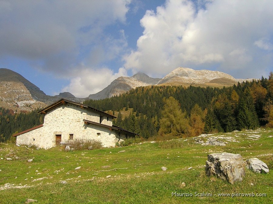 09 Sfioro la baita bassa di Pagherola sorvegliata da Ferrante e Ferrantino.JPG